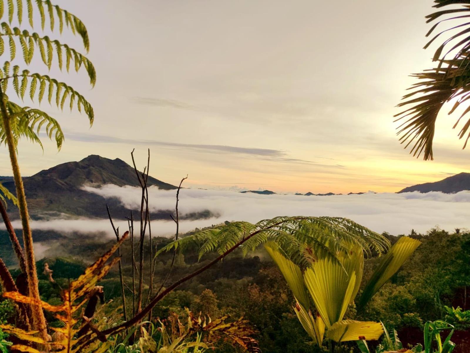 Batur View Homestay - Loft Kintamani Εξωτερικό φωτογραφία